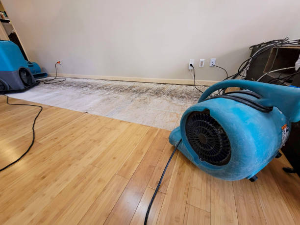 Professional Burst Pipe Water Damage technician working in Jamestown, SC